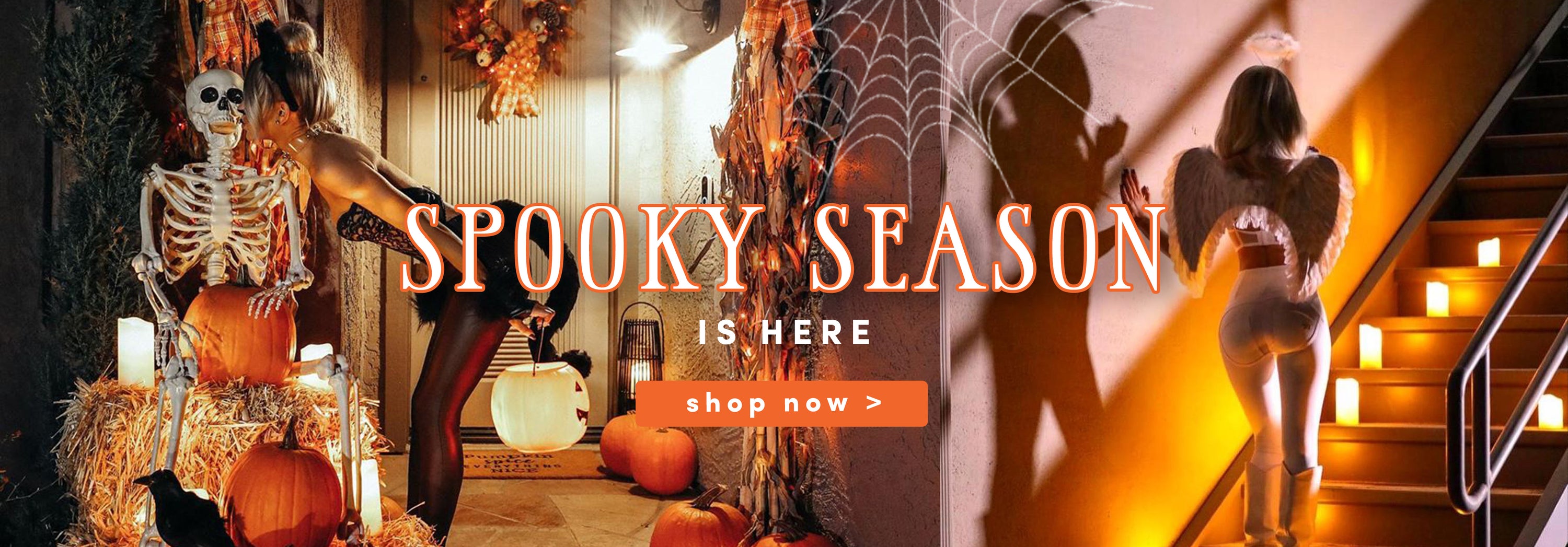 Freddy Pants Banner - Banner-Desktop.jpg