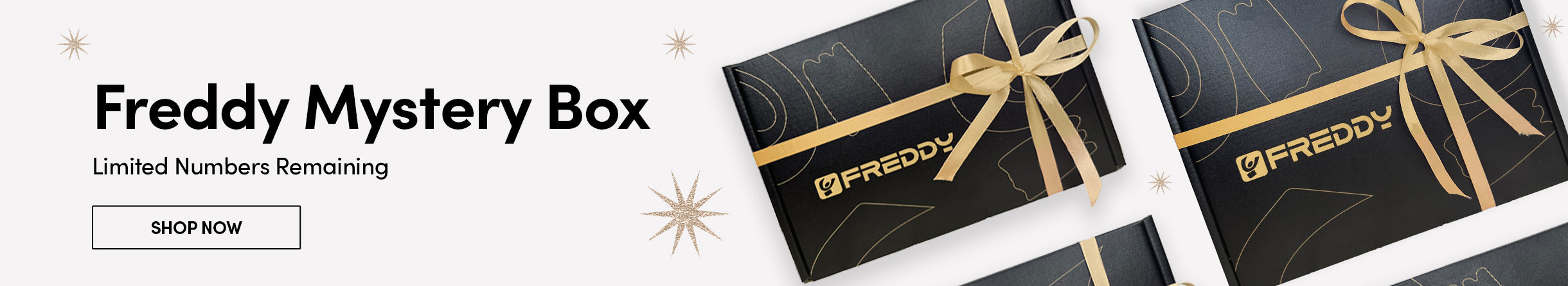 Freddy Pants Banner - DESKTOP-BANNER-MYSTERYBOX.jpg